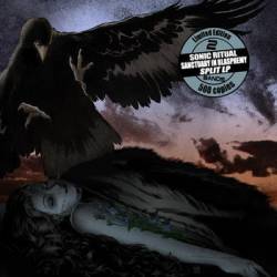 Sonic Ritual : Sonic Ritual? - ?Sanctuary in Blasphemy Split